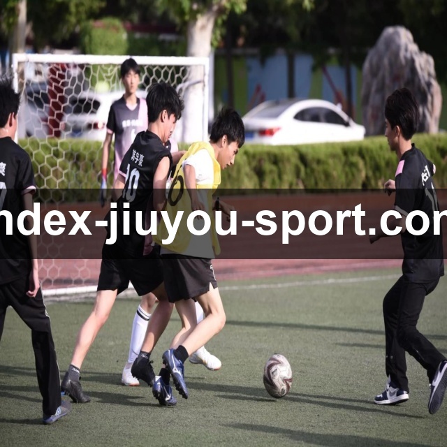 九游体育电脑版使用指南：全方位解析功能亮点与操作体验